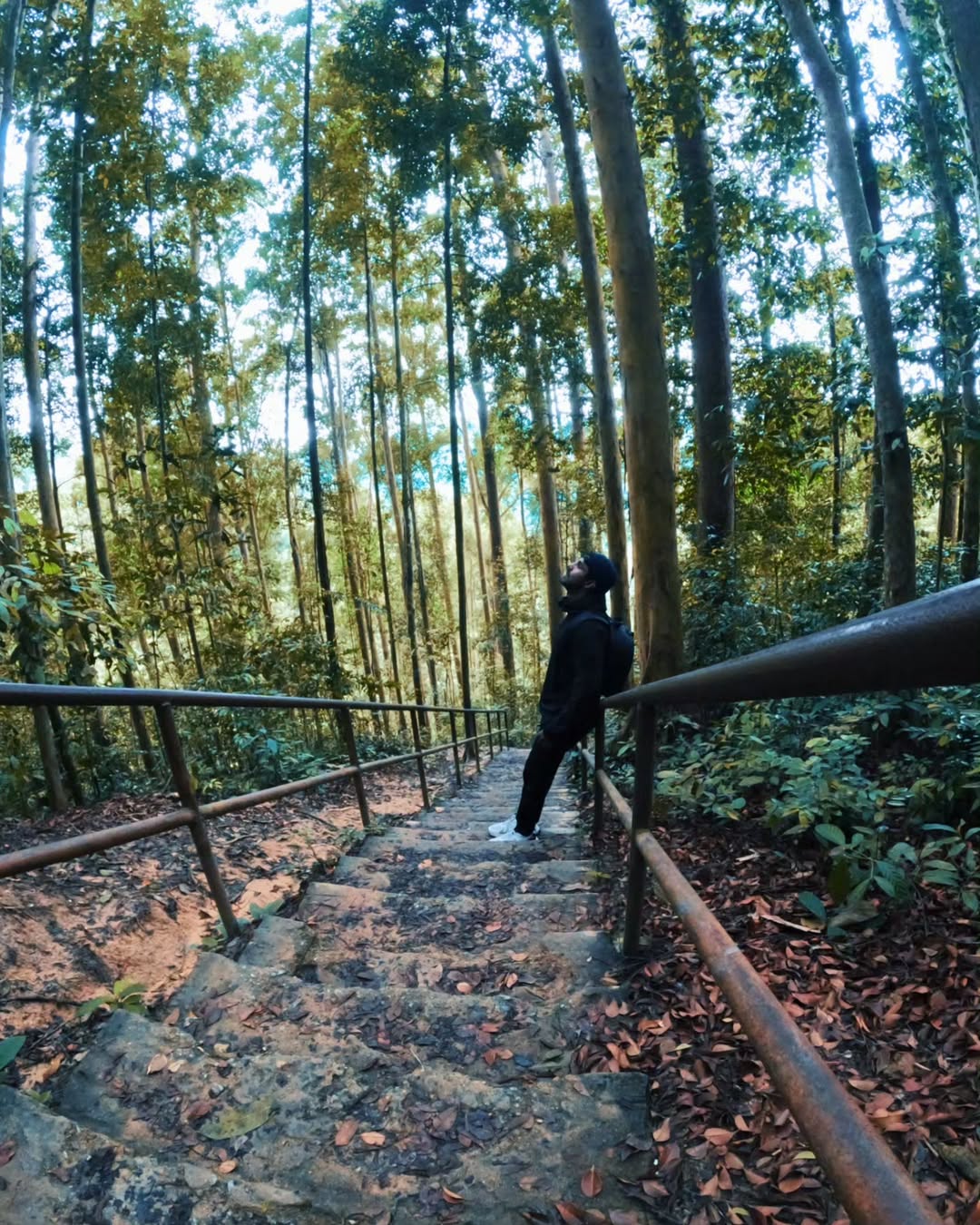 Adventurers on a mountain trail